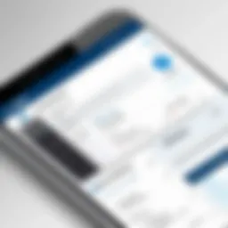 Visual representation of Amex expense management interface