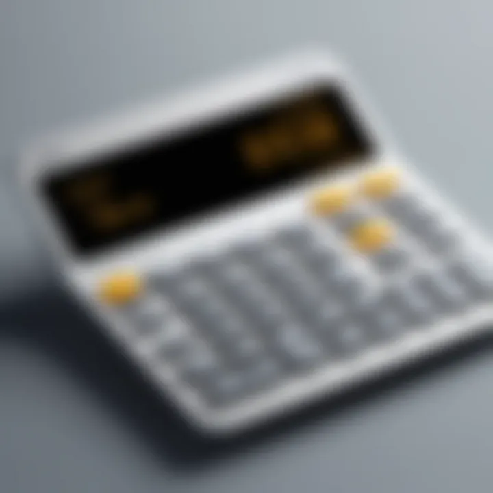 Overview of the EY Tax Calculator interface