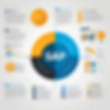 An infographic showcasing the user experience of Dynamics and SAP solutions