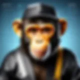 Overview of the Code Monkey Course curriculum