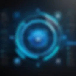 Conceptual representation of digital security frameworks