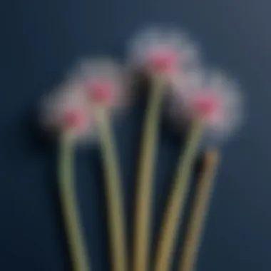 Overview of Salsify Pricing Models Salsify pricing models overview