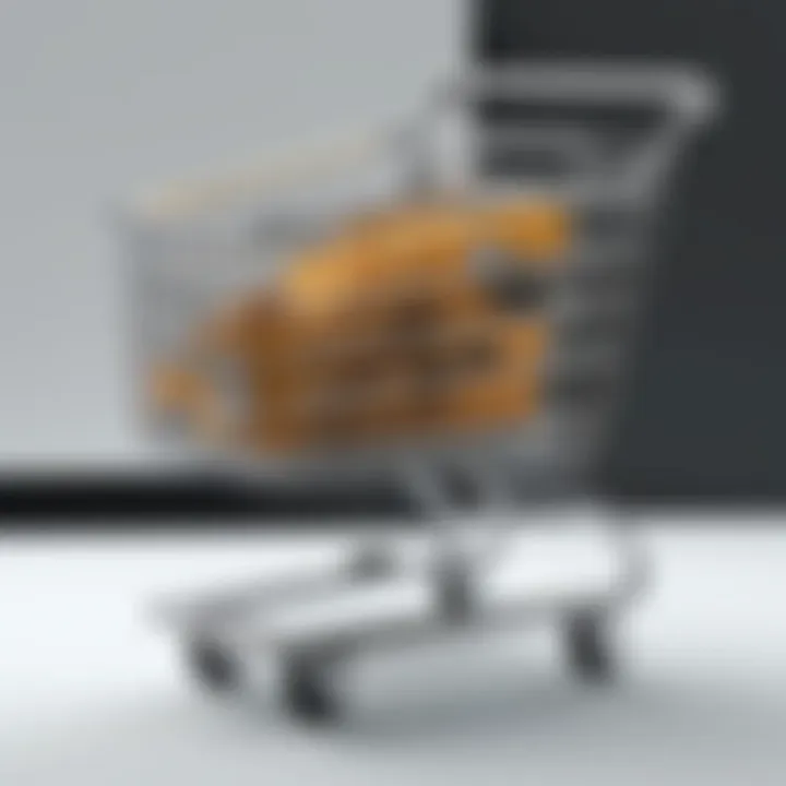 Visual representation of Squarespace shopping cart interface