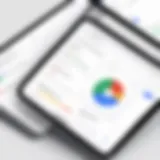 Overview of Google Trends interface