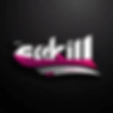 Skrill logo showcasing digital payment innovation