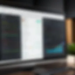 Visual representation of ZoomInfo's database interface showcasing business insights.